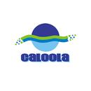 Caloola Vocational Services Inc.