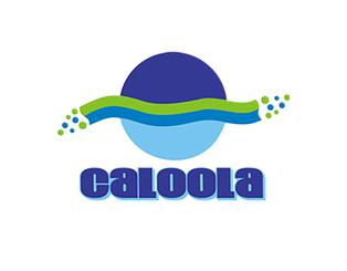 Caloola Vocational Services Inc