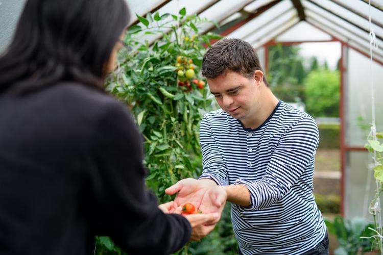 Supported Employment Services into the future